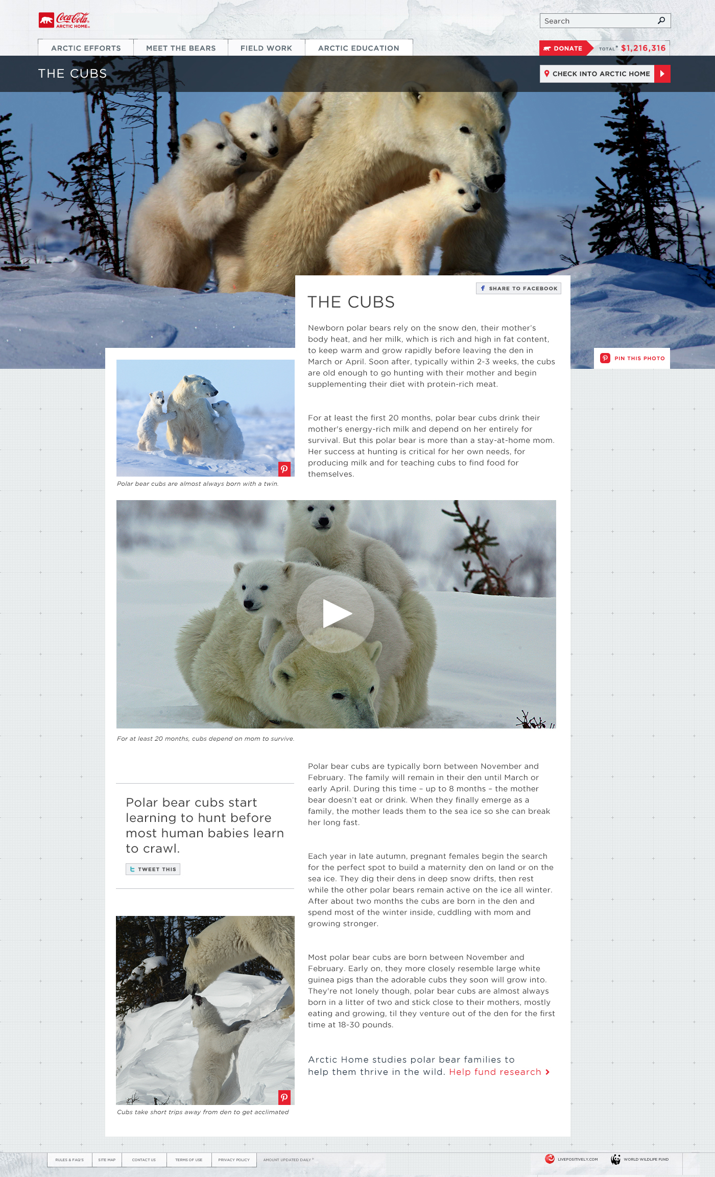 Article Detail Page
